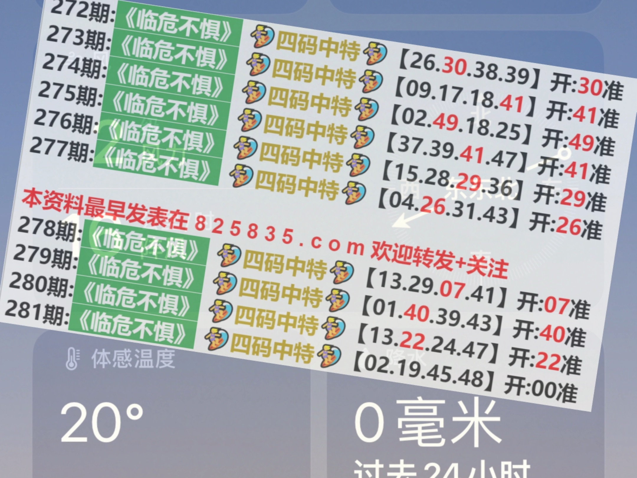 2024澳门特马今晚开奖56期的,澳门特马今晚开奖第56期的期待与激情