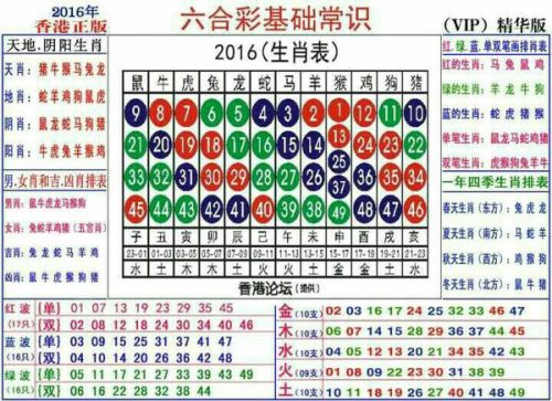 2024十二生肖49码表,揭秘2024十二生肖与数字彩票的奥秘，十二生肖49码表详解