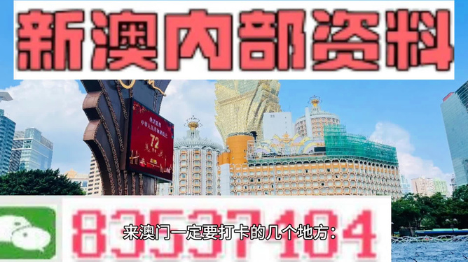 2024年新澳门王中王免费,探索新澳门王中王免费游戏世界——2024年的新机遇与挑战